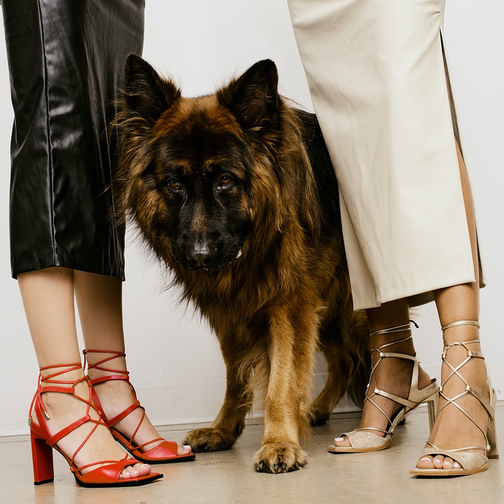 Daniella shevel pinot in lobster red and soft gold styled in leather dresses with a German Shepard 